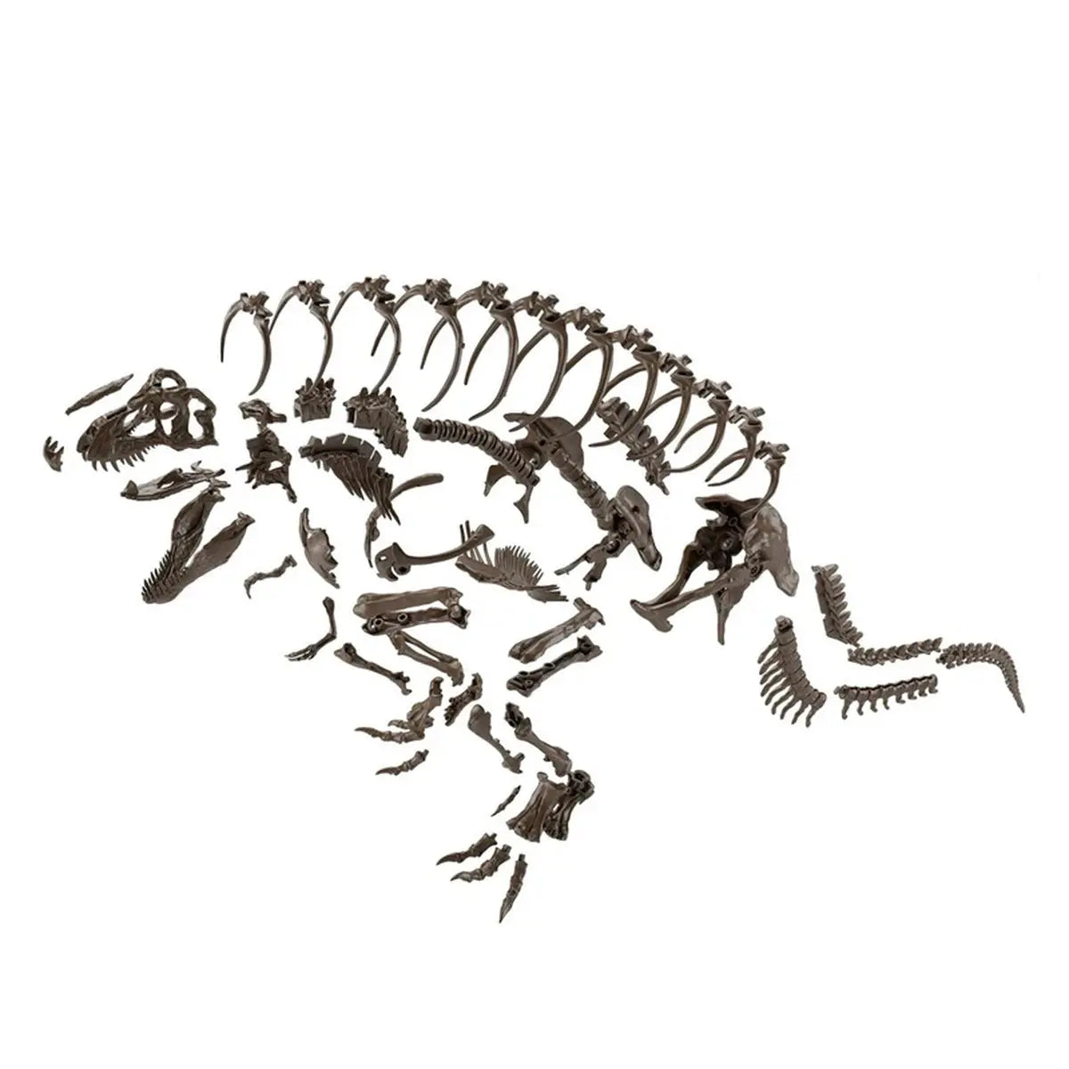 Fossile Collection 1/32 Dinosaure Imaginary Skeleton Tyrannosaurus - Image 3