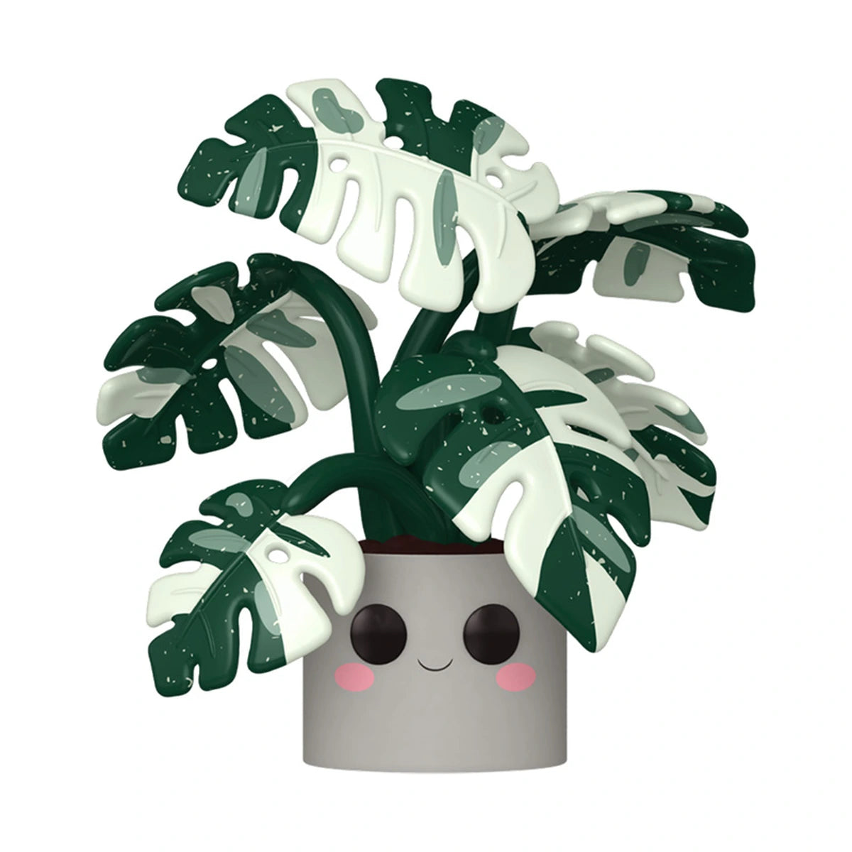 Flora Pop Jumbo Monstera Variegata 25cm - Image 1