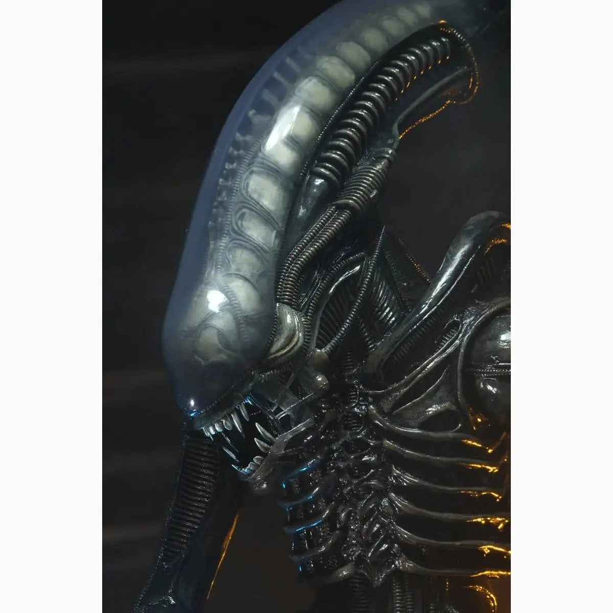 Alien 1/4 figurine Big Chap 56 cm - Image ajoutée 13