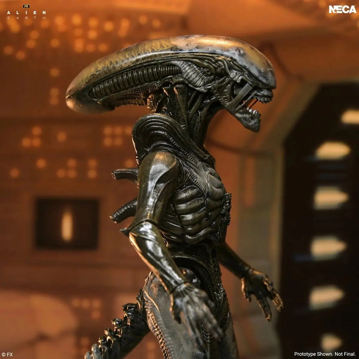 Alien: Earth Ultimate figurine Wendy's Xenomorph 18 cm - Image 5