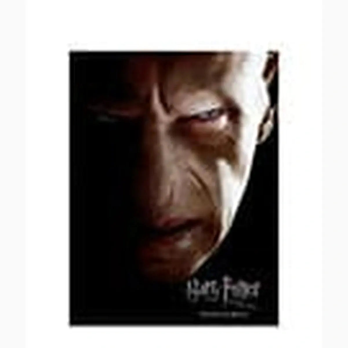 Harry Potter Affiche en verre Voldemort 30 x 40 cm - Image 2