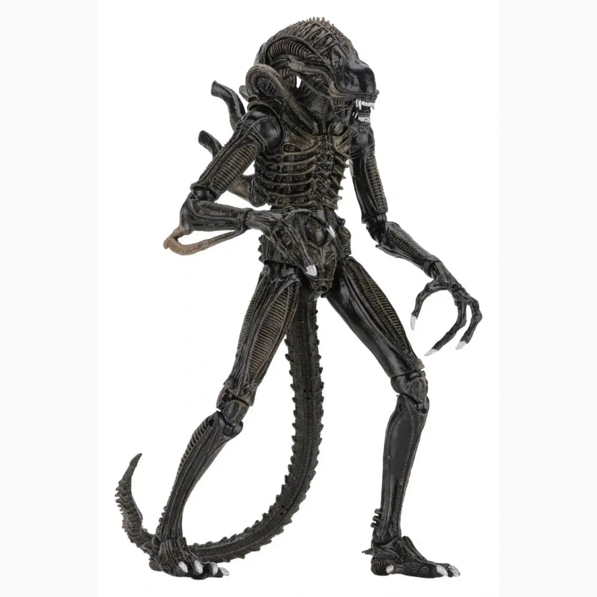 Aliens Ultimate figurine Warrior (1986) Brown 23 cm - Image 4
