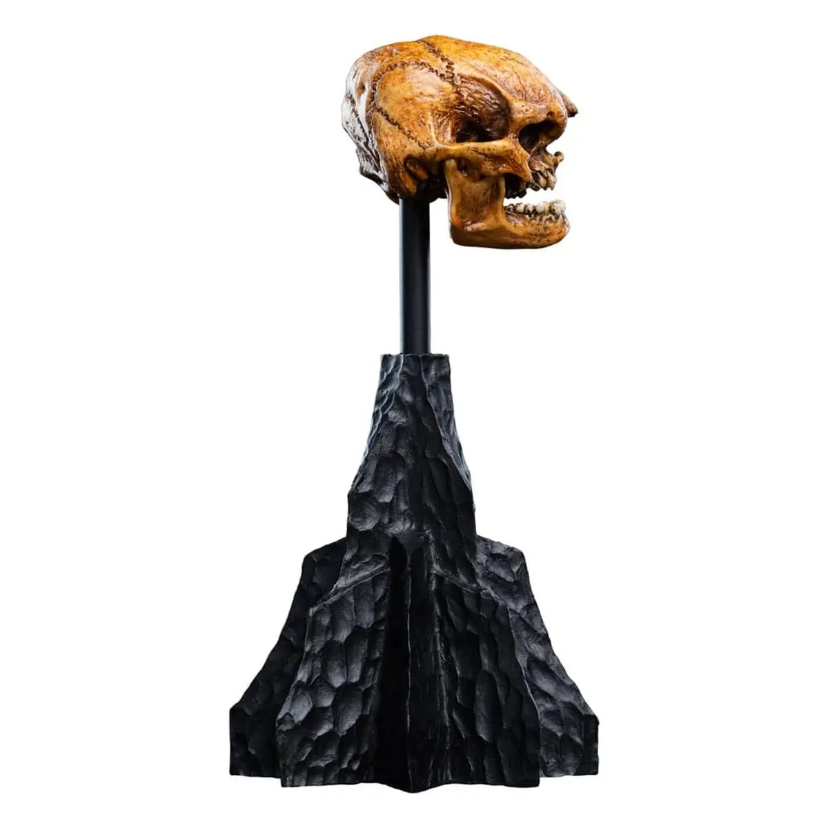 Le Seigneur des Anneaux statuette Skull of a Misty Mountain Goblin 14 cm - Image 7