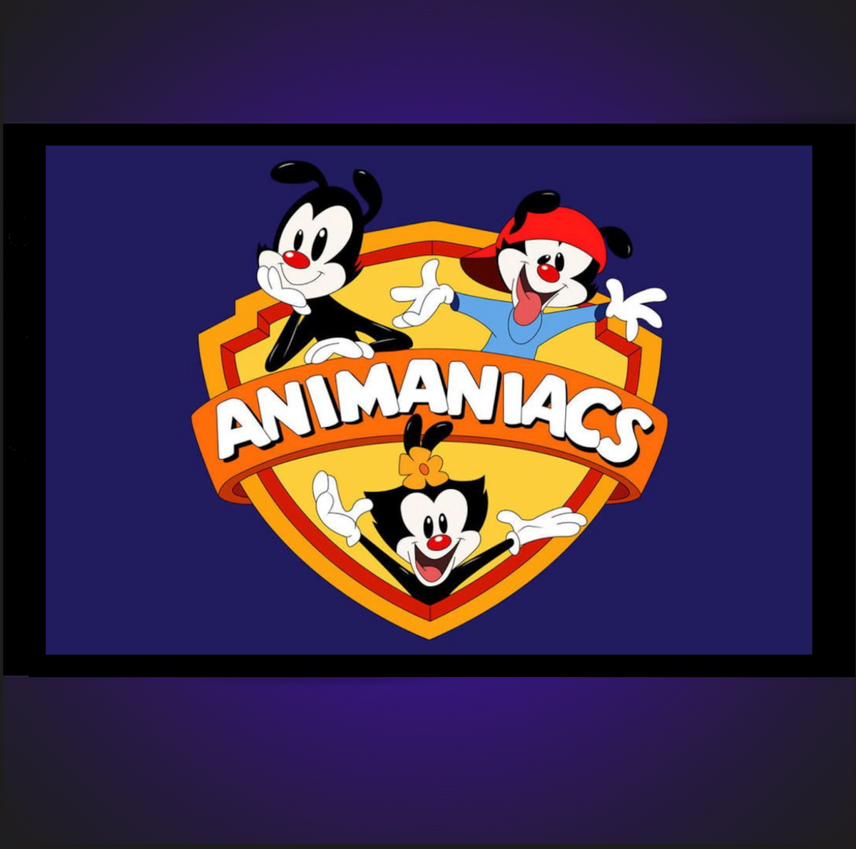 Animaniacs RUE DU RETRO