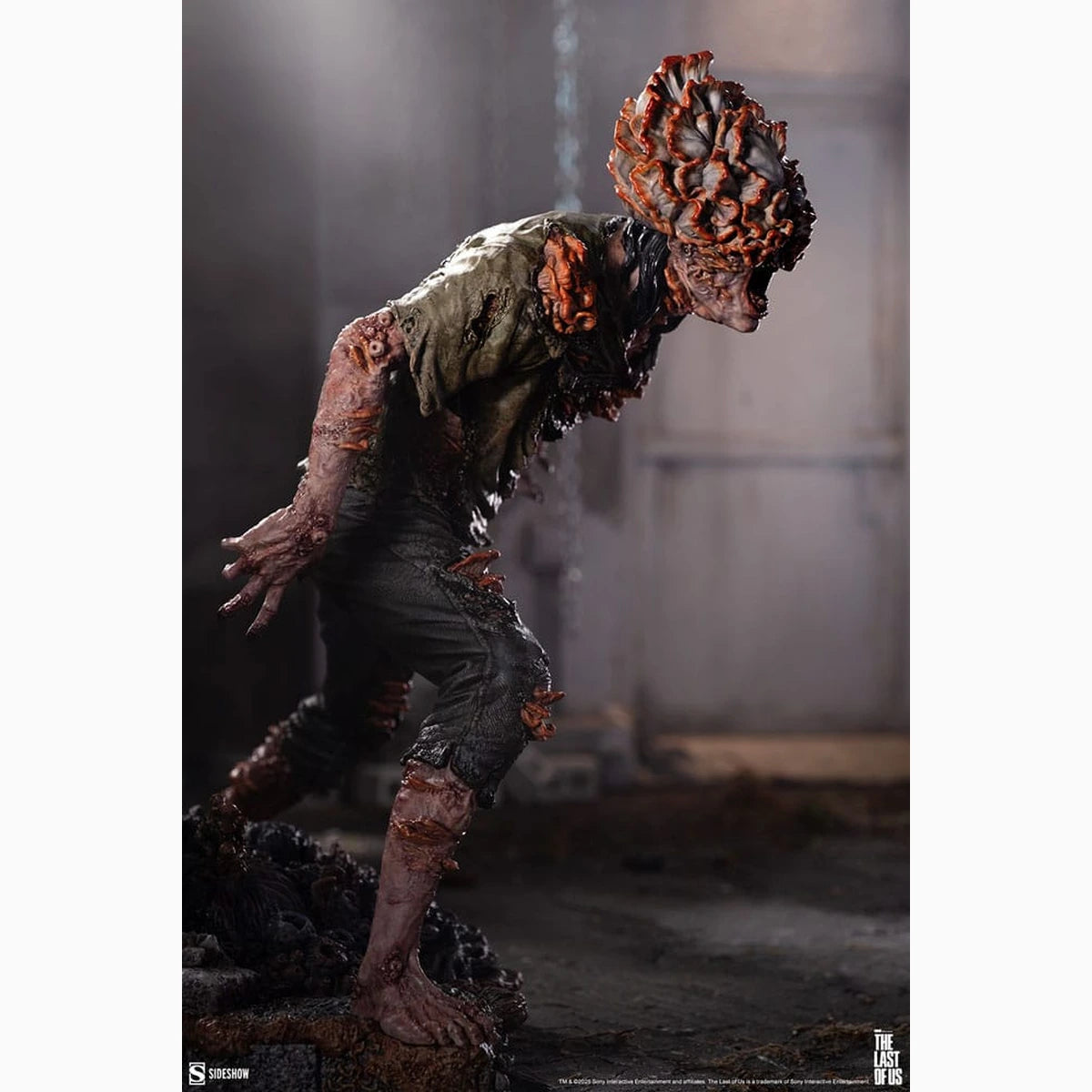 The Last of Us figurine 1/6 Clicker 27 cm - Image 5