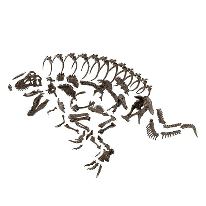 Fossile Collection 1/32 Dinosaure Imaginary Skeleton Tyrannosaurus - Image 3