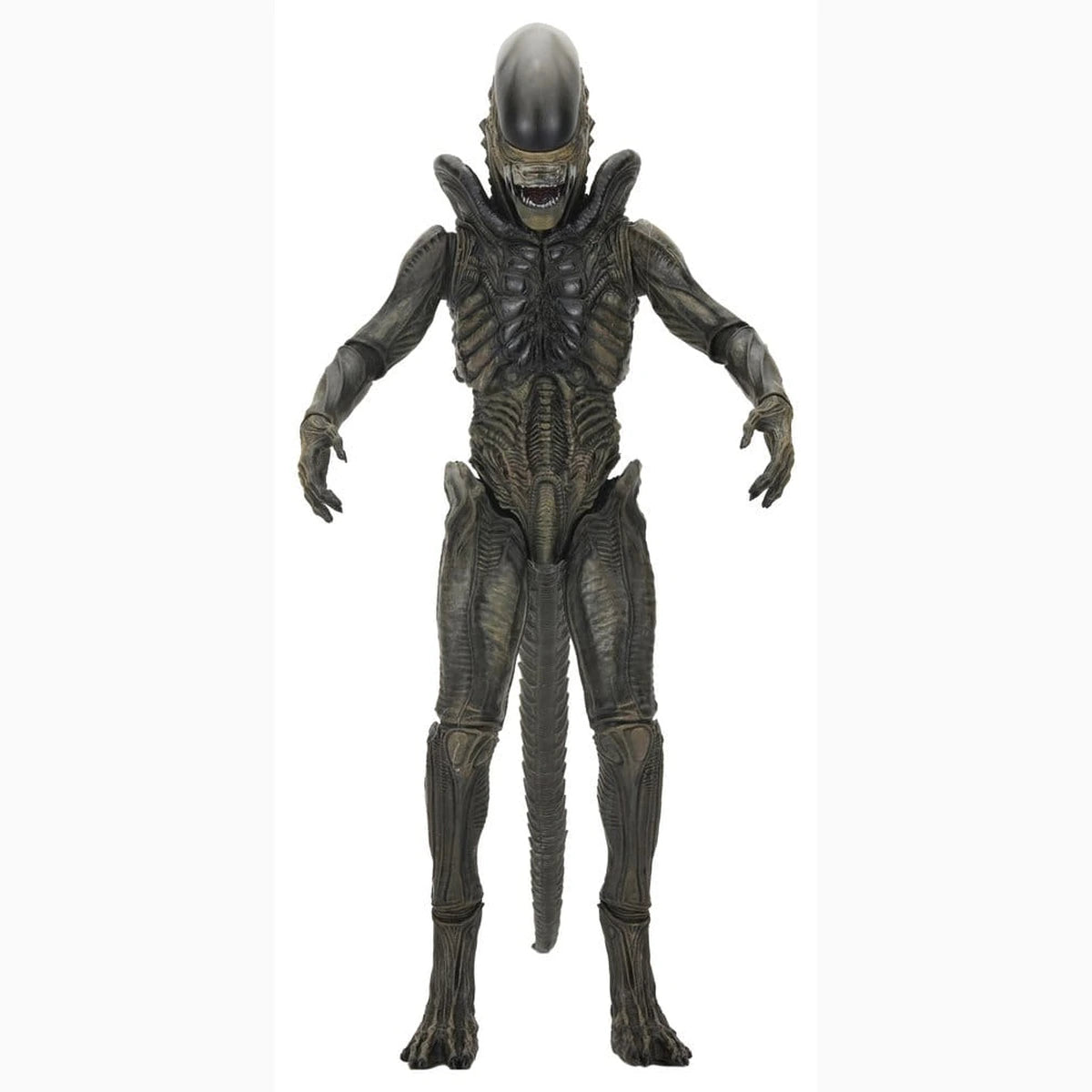 Alien: Earth Ultimate figurine Xenomorph 18 cm - Image 1
