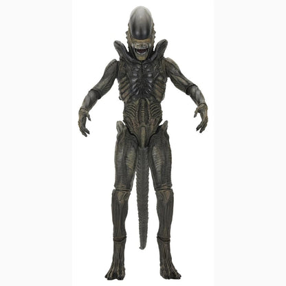 Alien: Earth Ultimate figurine Xenomorph 18 cm - Image 1