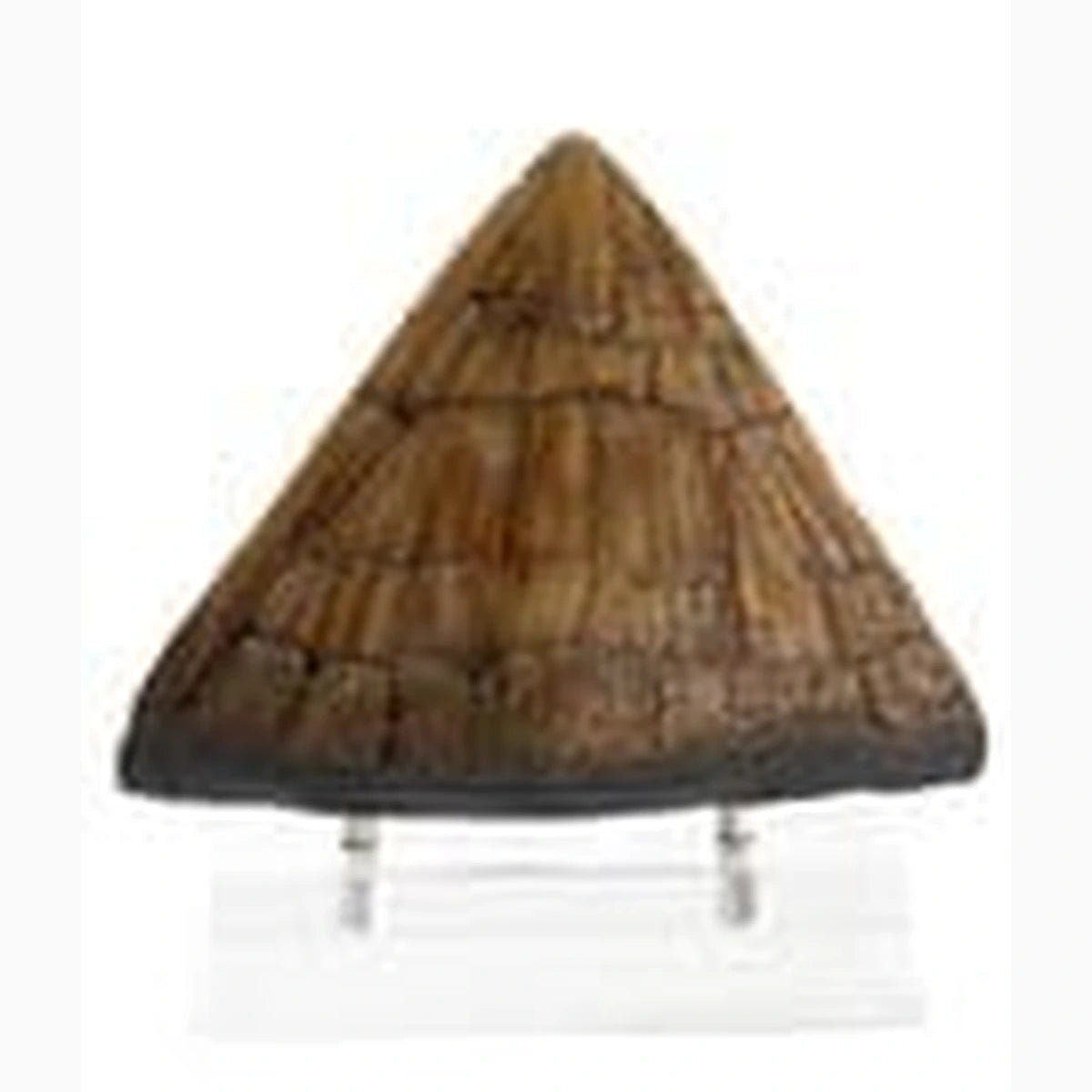 Jurassic Park statuette Triceratops Spike Prop (Reproduction) 19 cm - Image 2
