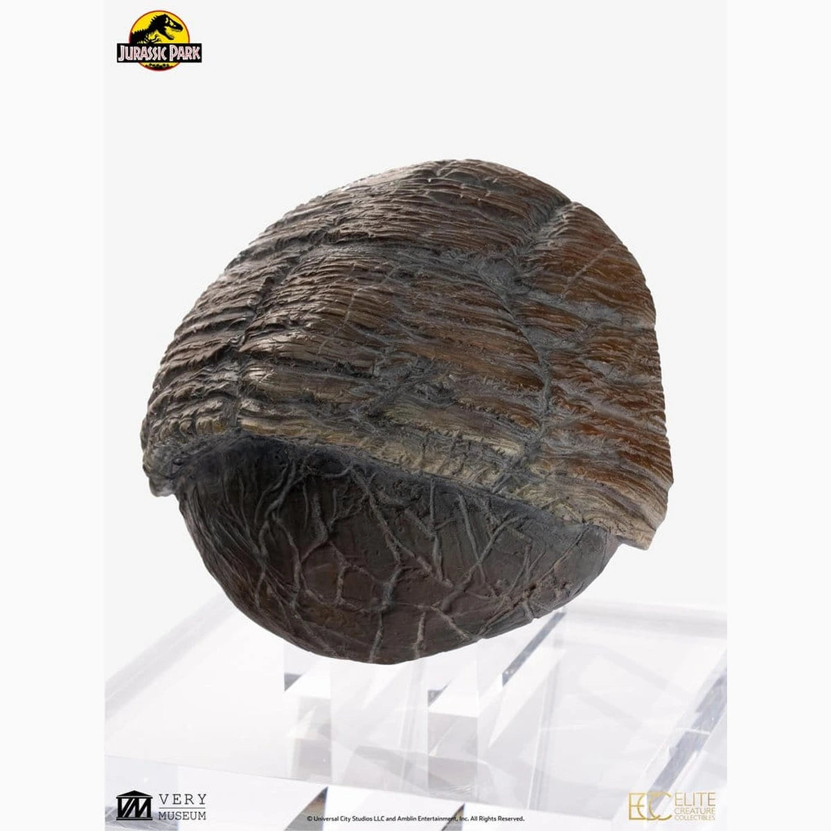 Jurassic Park 1/1 réplique Triceratops Toenail 16 cm - Image 3