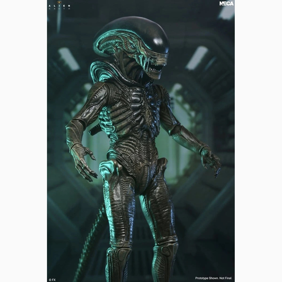 Alien: Earth Ultimate figurine Xenomorph 18 cm - Image 4