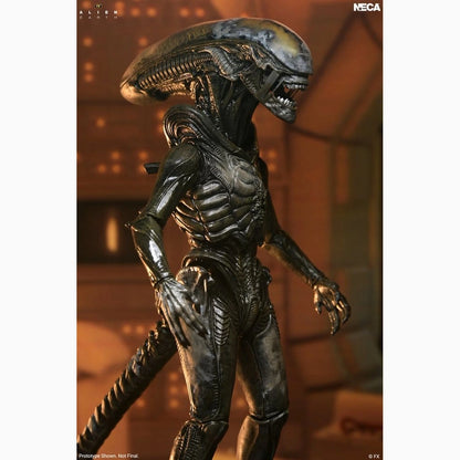 Alien: Earth Ultimate figurine Wendy's Xenomorph 18 cm - Image 4