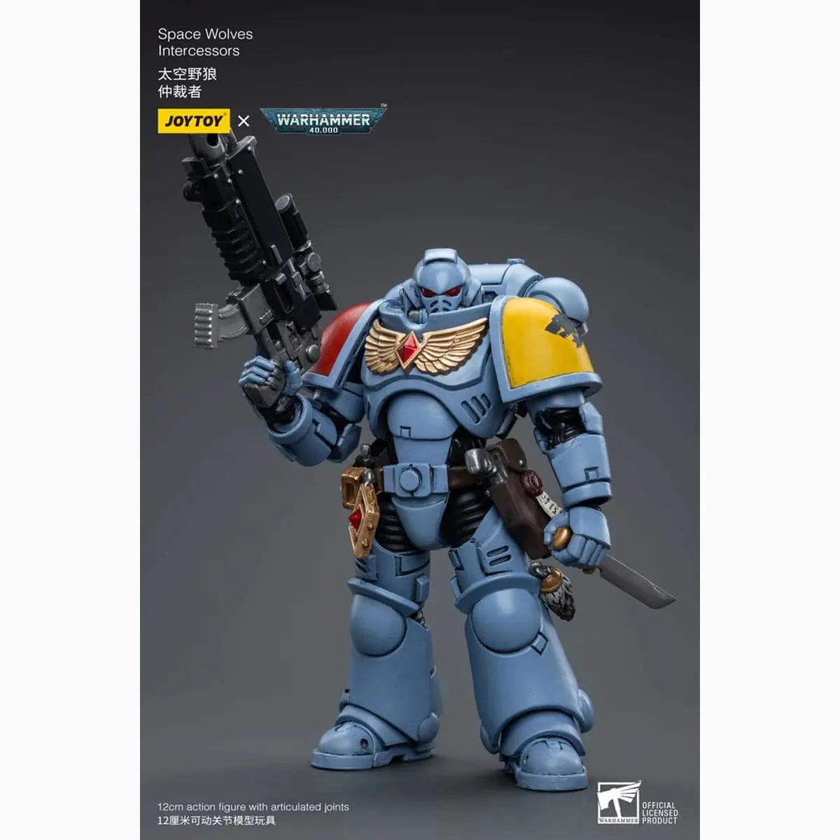 Warhammer 40k figurine 1/18 Space Wolves Intercessors 12 cm - Image 6