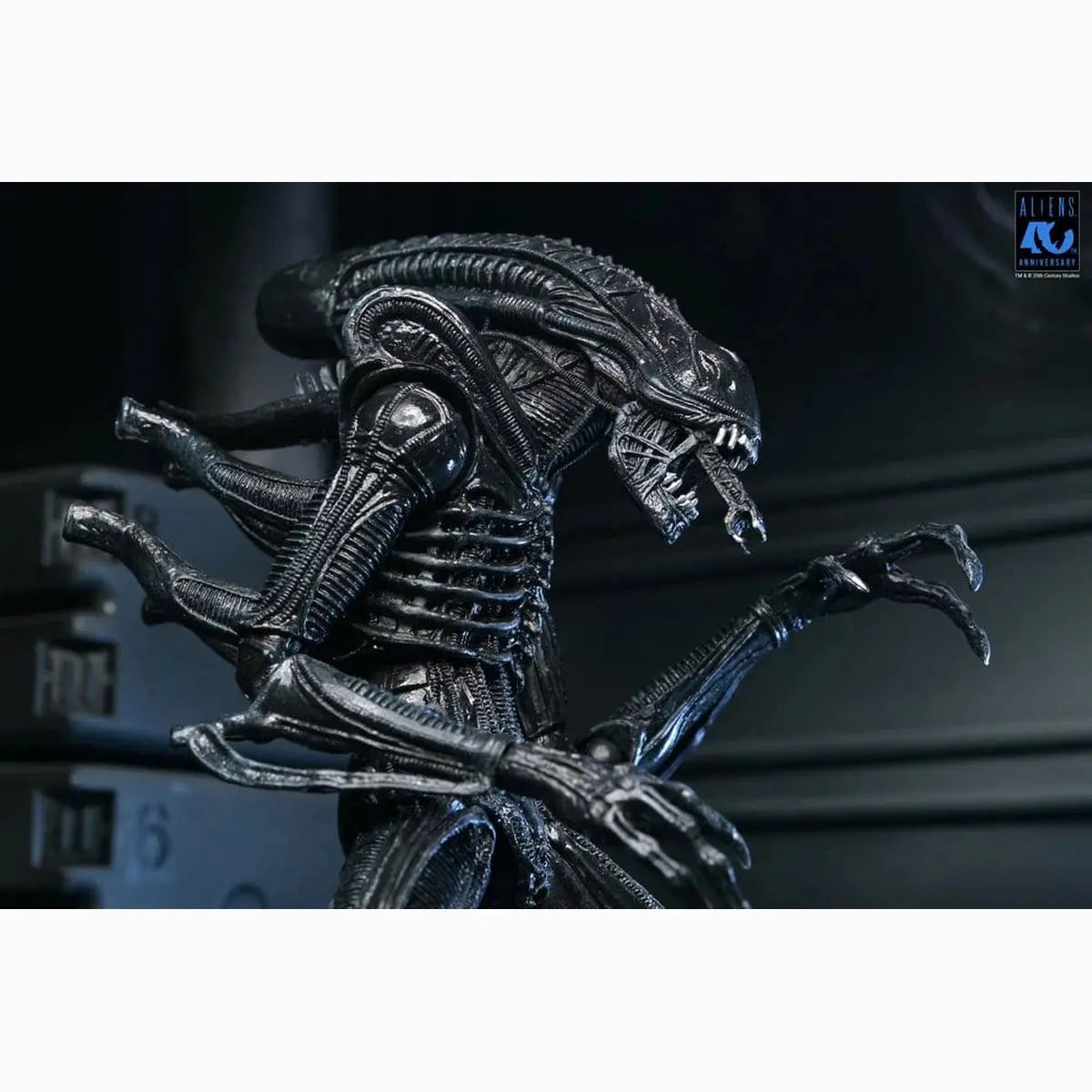 Aliens Ultimate figurine Warrior (1986) Xenomorph Black (40th Anniversary) 23 cm - Image 5