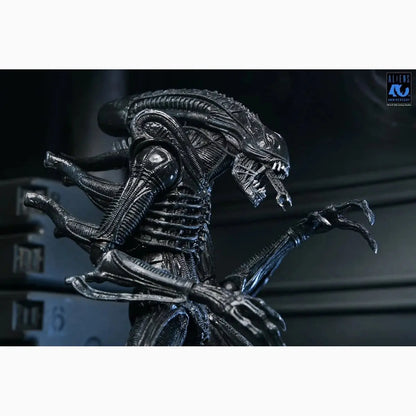 Aliens Ultimate figurine Warrior (1986) Xenomorph Black (40th Anniversary) 23 cm - Image 5