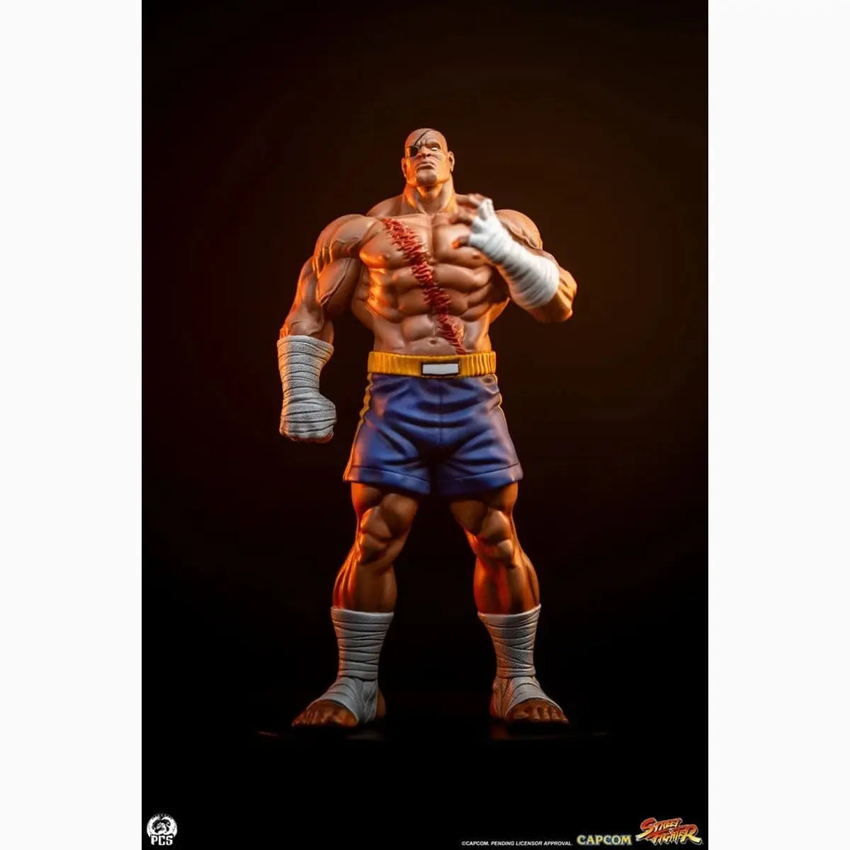 Street Fighter Street Jam statuettes 1/10 Sagat & Juli 24 cm - Image 5