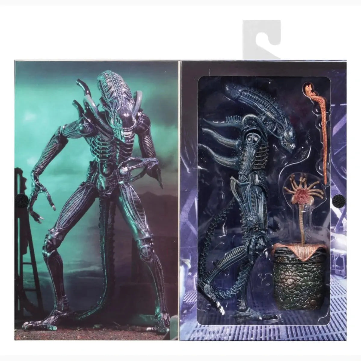 Aliens Ultimate figurine Warrior (1986) Blue 23 cm - Image 5