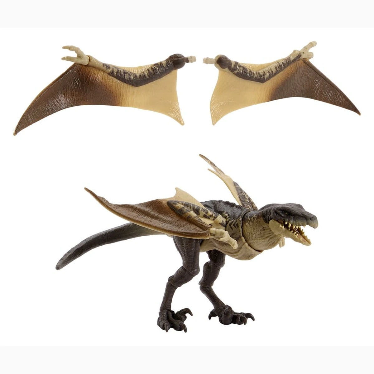Jurassic World : Renaissance Hammond Collection figurine Mutadon - Image 3