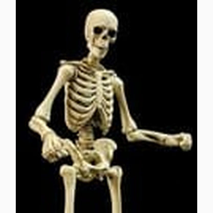Epic H.A.C.K.S. figurine 1/12 Skeleton Blank Classic Bone - Image 2