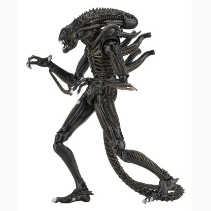 Aliens Ultimate figurine Warrior (1986) Brown 23 cm - Image 3