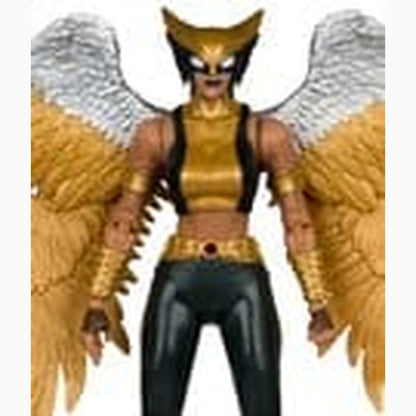DC Multiverse McFarlane Collector Edition figurine Hawkgirl (Kendra Saunders) 28 cm - Image 2