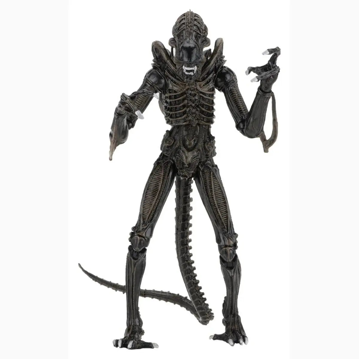 Aliens Ultimate figurine Warrior (1986) Brown 23 cm - Image 1