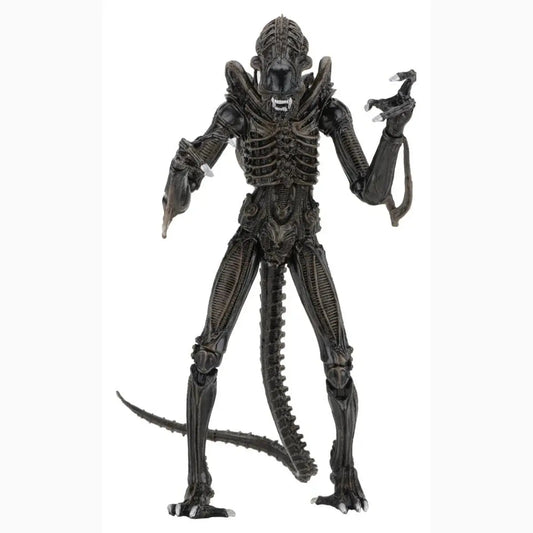 Aliens Ultimate figurine Warrior (1986) Brown 23 cm - Image 1