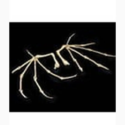 Mythic Legions: All Stars 6 accessoires pour figurines Bone Wings - Image 2