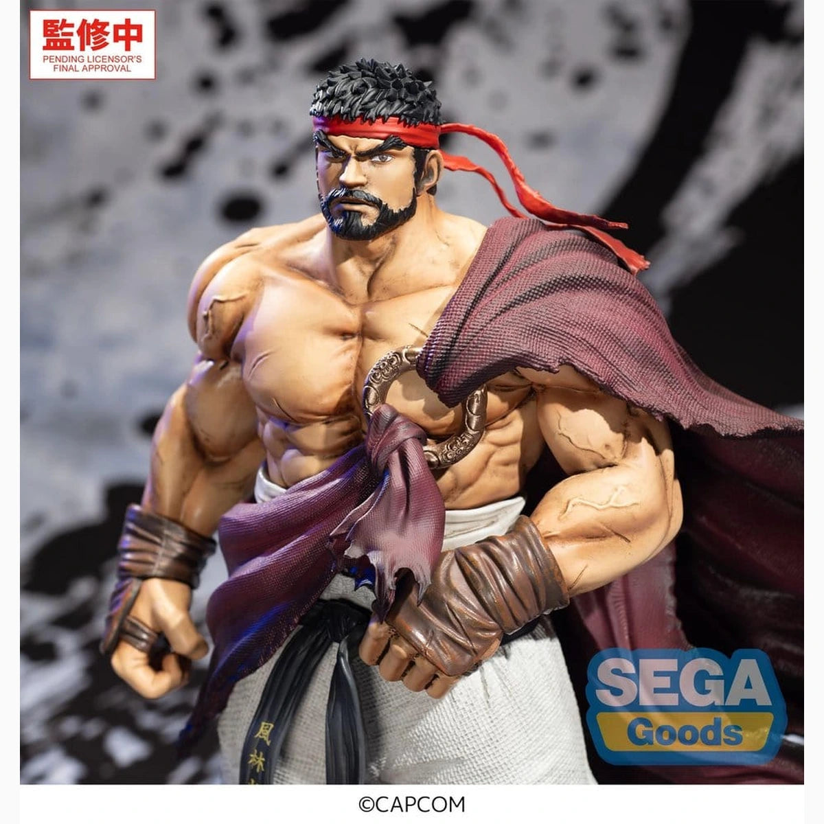 Street Fighter figurine PVC FIGURIZMa Ryu 26 cm - Image 5