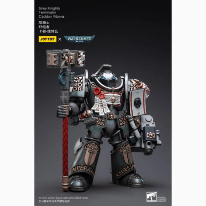 Warhammer 40k figurine 1/18 Grey Knights Terminator Caddon Vibova 13 cm - Image 5