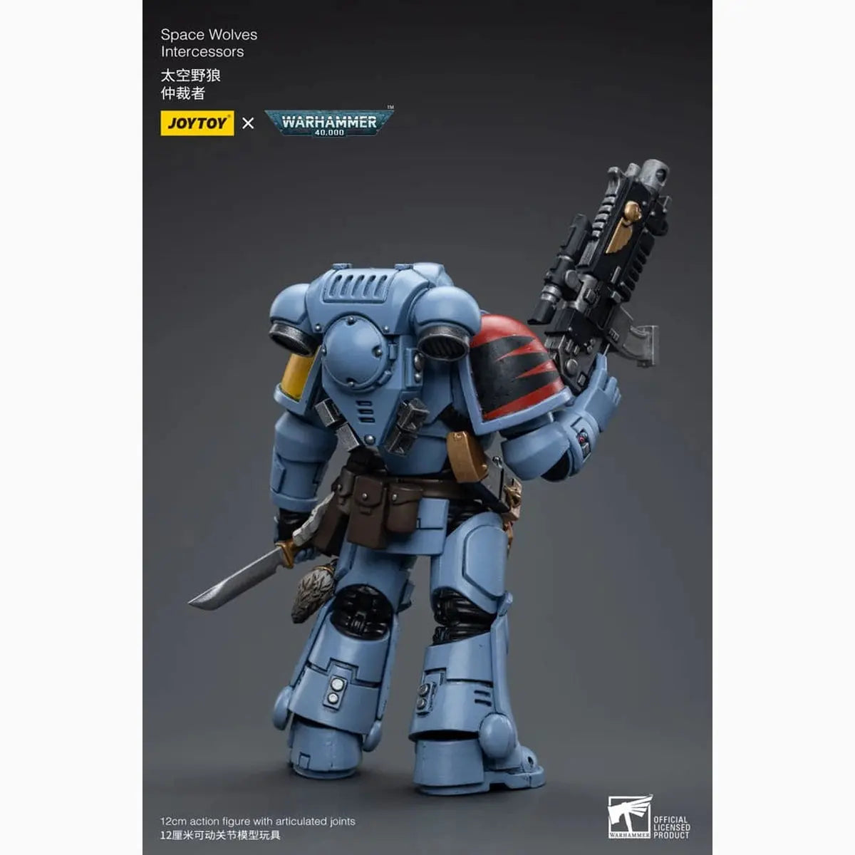 Warhammer 40k figurine 1/18 Space Wolves Intercessors 12 cm - Image 5