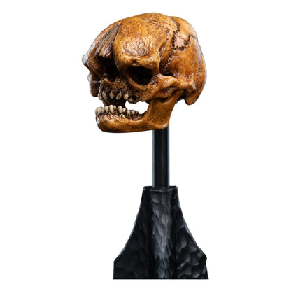 Le Seigneur des Anneaux statuette Skull of a Misty Mountain Goblin 14 cm - Image 4