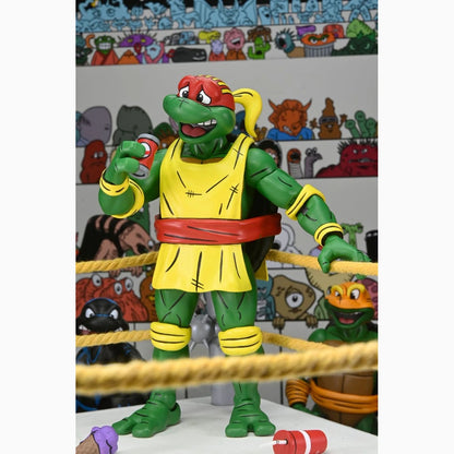 Tortues Ninja (Archie Comics) figurines Pack de 4 Stump Wrestling Turtles 18 cm - Image 3