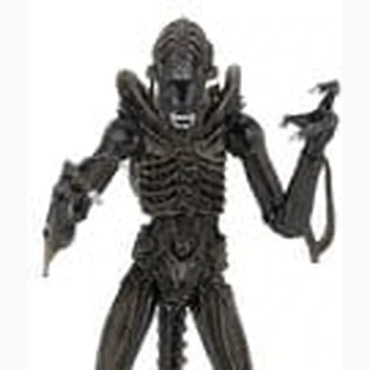 Aliens Ultimate figurine Warrior (1986) Brown 23 cm - Image 2