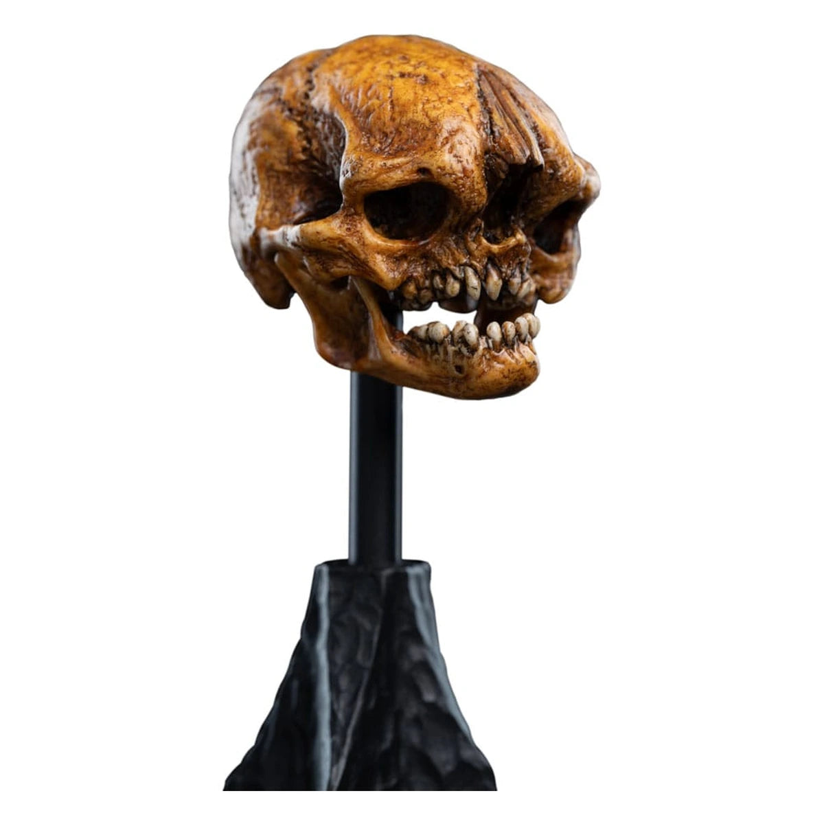 Le Seigneur des Anneaux statuette Skull of a Misty Mountain Goblin 14 cm - Image 5