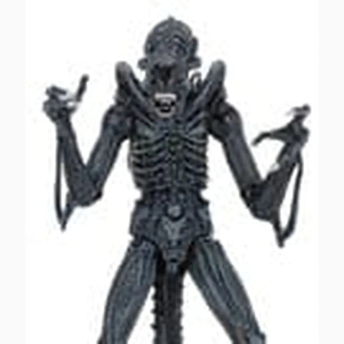Aliens Ultimate figurine Warrior (1986) Blue 23 cm - Image 2