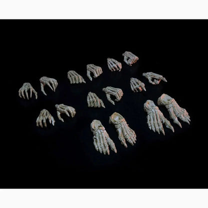 Mythic Legions: Necronominus accessoires pour figurines Skeletons of Necronominus Hands/Feet Pack - Image 1
