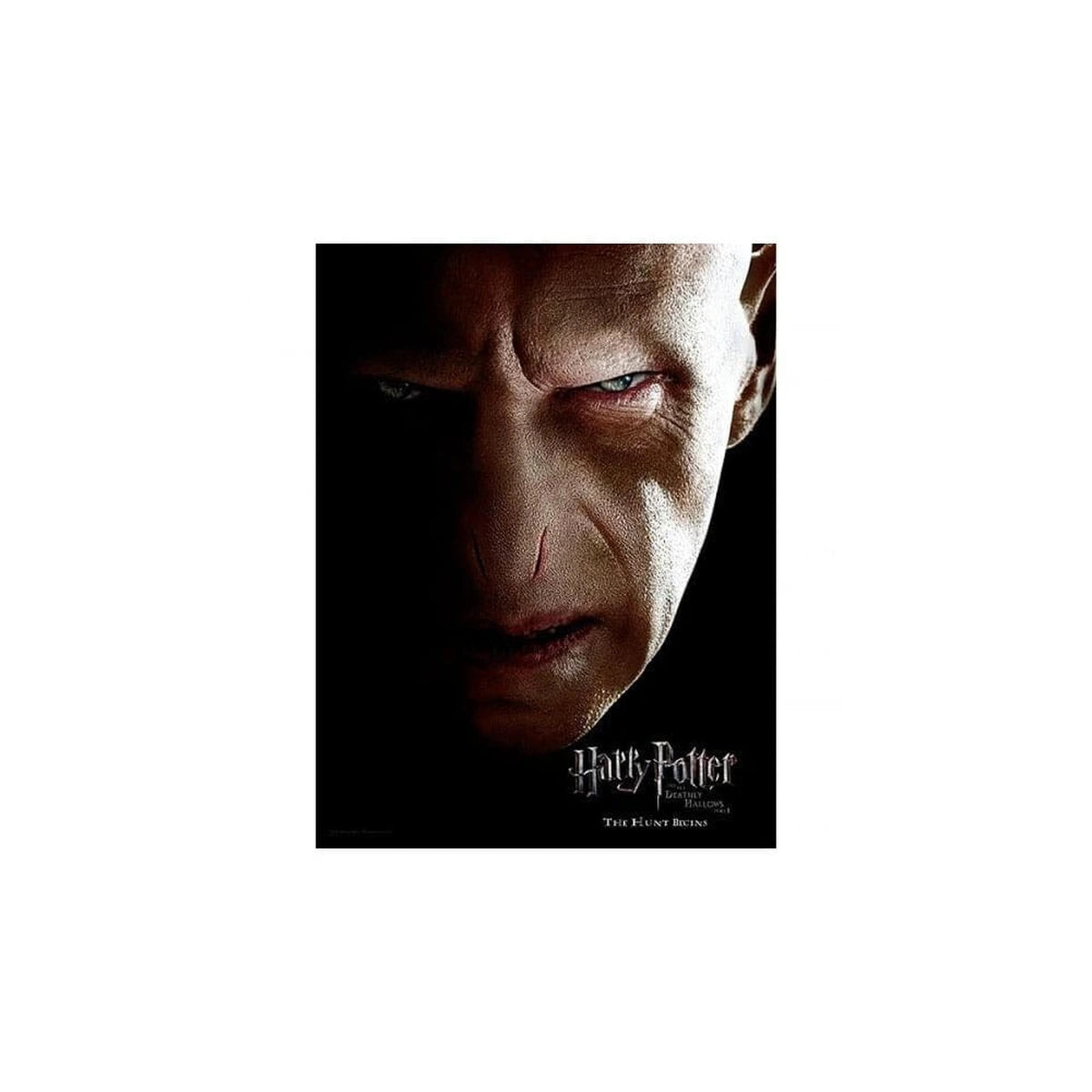 Harry Potter Affiche en verre Voldemort 30 x 40 cm - Image 1
