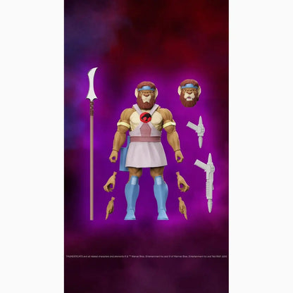 Thundercats figurine Ultimates Royal Thunderian Guard 18 cm - Image 7