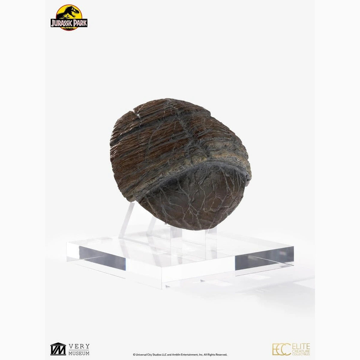 Jurassic Park 1/1 réplique Triceratops Toenail 16 cm - Image 6