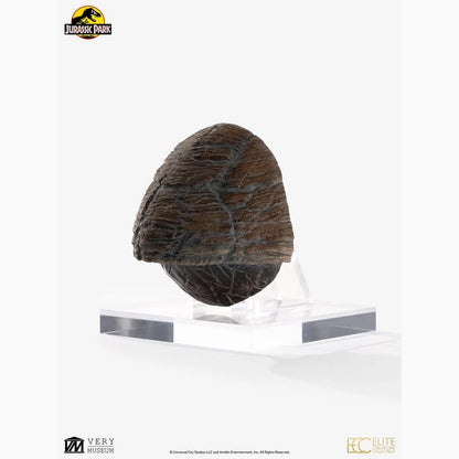Jurassic Park 1/1 réplique Triceratops Toenail 16 cm - Image 4