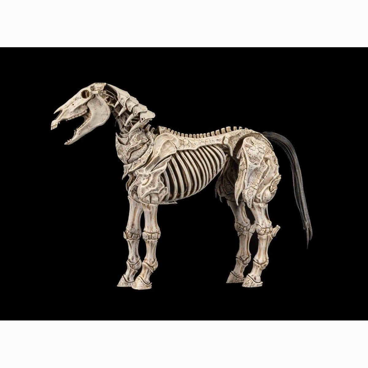 Mythic Legions: Reinforcement 3 figurine Skeleton Steed Legion Builder - Image 3