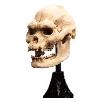 Le Seigneur des Anneaux statuette Skull of Lurtz 14 cm - Image 4
