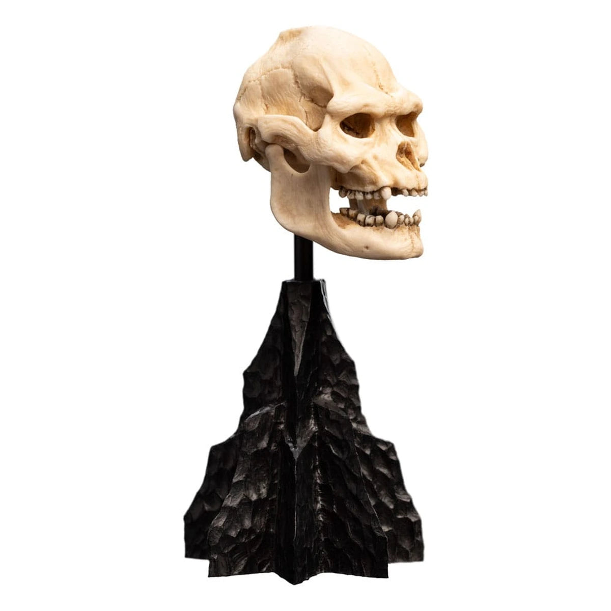 Le Seigneur des Anneaux statuette Skull of Lurtz 14 cm - Image 7
