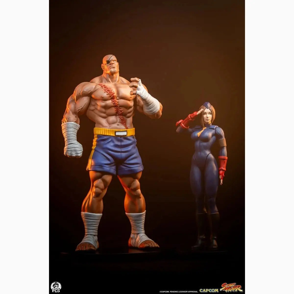 Street Fighter Street Jam statuettes 1/10 Sagat & Juli 24 cm - Image 4