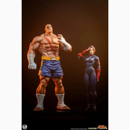 Street Fighter Street Jam statuettes 1/10 Sagat & Juli 24 cm - Image 4