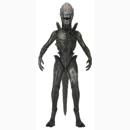 Alien: Earth Ultimate figurine Wendy's Xenomorph 18 cm - Image 1