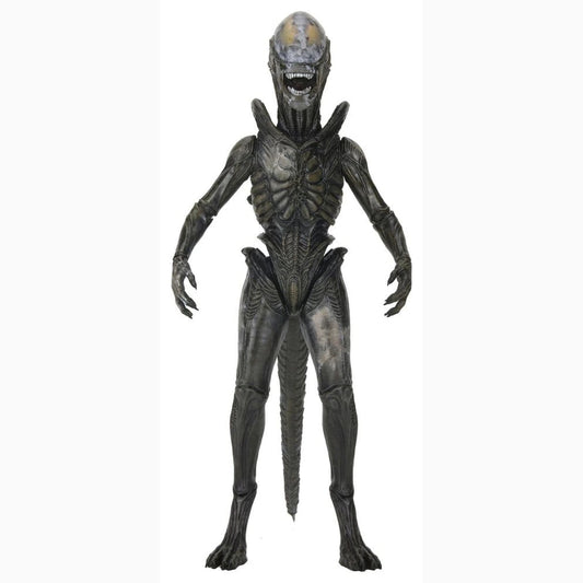 Alien: Earth Ultimate figurine Wendy's Xenomorph 18 cm - Image 1