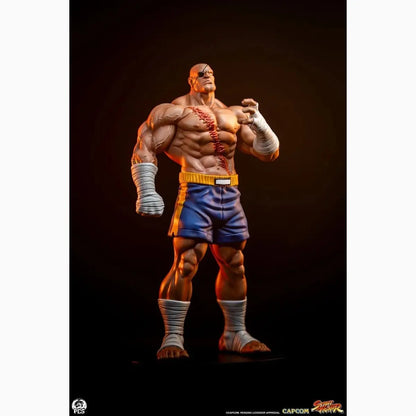 Street Fighter Street Jam statuettes 1/10 Sagat & Juli 24 cm - Image 7