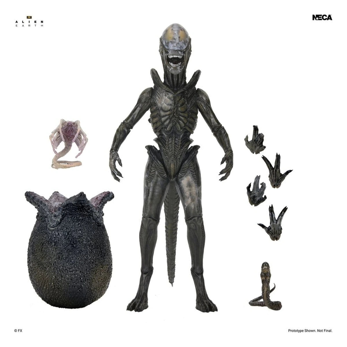 Alien: Earth Ultimate figurine Wendy's Xenomorph 18 cm - Image 3